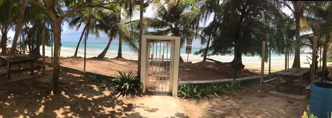 Beach Front Apt Isla Verde 2 Appartamento San Juan Esterno foto